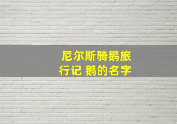 尼尔斯骑鹅旅行记 鹅的名字